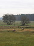 November Landscapes From The Lesser Poland Area