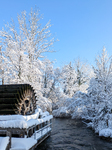 Frosty Weather In Bavaria