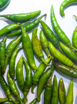 Green Chilli Pepper - Agriculture In India