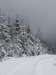 Snow Falls In Beskid Mountains In Poland