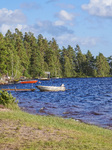 Moose Park In Markaryd, Sweden