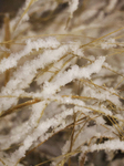 First Significant Snowfall Of The Season In Toronto, Canada