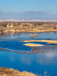 Migrating Birds at Qiandao Lake in Hohhot