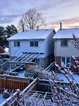 Snow In Toronto