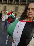 Palestinian Activists And Supporters Demonstrate Against The Genocide In Gaza At The Zócalo In Mexico City