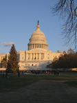 US Holiday: Capitol Christmas Tree