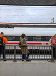 Travelers At Munich Pasing Station