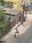 Ragpicker Childs Collects Plastics