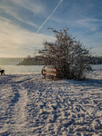 Out For A Walk At The Lakes Osterseen In Winter