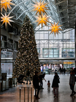 Large Christmas Tree In Toronto, Canada