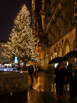 Munich Christmas Market With Illuminated Christmas Tree