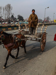 Daily Life In Kashmir 