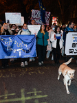 Georgians Continue To Demonstrate In Large Numbers In Tbilisi