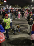 Day Of The Virgin Of Guadalupe In Mexico