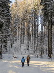 People Enjoying The Bavarian Winter Landscape