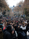 Large Pro-EU Demonstration Int The Streets Of Tbilisi