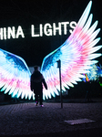 Opening Night Of China Light  In Cologne Zoo