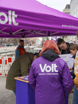 The German Federal Election Campaign For The Early Federal Election 2025 Has Begun, VOLT Party With Information Stand In Munich