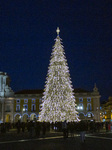 Christmas Tree Lisbon