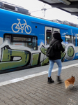 Arverio Train At Augsburg Central Station 