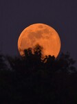 Cold Moon In India 