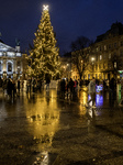 The Main Christmas Tree In Lviv, Ukraine