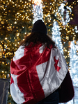 Tbilisi's New Year Tree Lights Up On Rustaveli Avenue During The Protest