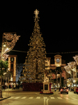 Christmas Atmosphere In Sorrento