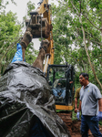 Bali Zoo's Sumatran Elephant Found Dead After Being Swept Away By River