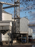 Agricultural enterprise in Chernihiv region.