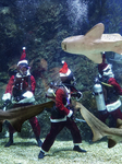 Fish Feeding Performance By Santa Claus Diver To Celebrate Christmas.