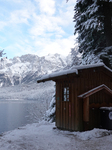 Snow-Covered Forest And Waste Management In Grainau