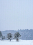 A Winter Day In Bavaria