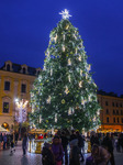 Christmas Tree In Krakow Named The World's Most Beautiful