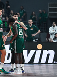 Panathinaikos Athens v Baskonia Vitoria Gasteiz - Turkish Airlines EuroLeague