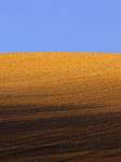 Plowed And Seeded Wheat Field In The Alta Murgia Of Puglia, Italy