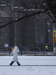 Frigid Temperatures And Snowy Weather In Toronto