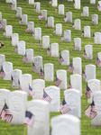 Memorial Day At The Los Angeles National Cemetery