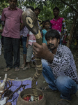 Festival Of The Hindu Snake Godness ''Manasha'' In India