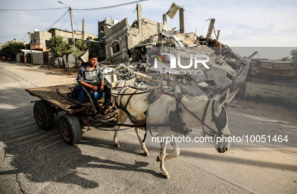 A Palestinian man rides his donkey cart past amidst the rubble of his house in Beit Lahia in the northern Gaza Strip, on May 16, 2023, follo...