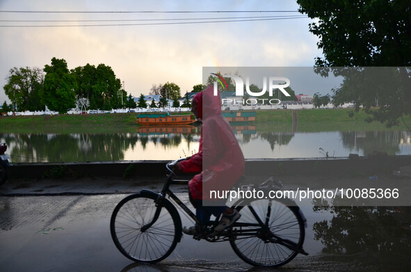 A man rides his bicycle on a rainy day in Srinagar, Indian Administered Kashmir on 25 May 2023. Rainfall will continue in the parts of Kashm...