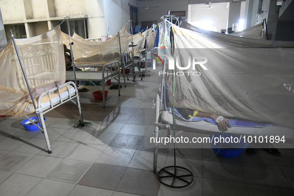 Bangladeshi dengue patients covered with mosquito nets suffer from dengue fever as they receive treatment at a Hospital in Dhaka, Bangladesh...