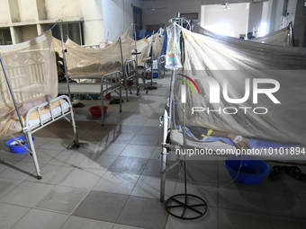 Bangladeshi dengue patients covered with mosquito nets suffer from dengue fever as they receive treatment at a Hospital in Dhaka, Bangladesh...