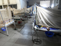 Bangladeshi dengue patients covered with mosquito nets suffer from dengue fever as they receive treatment at a Hospital in Dhaka, Bangladesh...