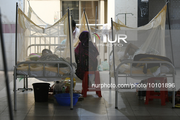 Bangladeshi dengue patients covered with mosquito nets suffer from dengue fever as they receive treatment at a Hospital in Dhaka, Bangladesh...