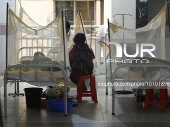 Bangladeshi dengue patients covered with mosquito nets suffer from dengue fever as they receive treatment at a Hospital in Dhaka, Bangladesh...