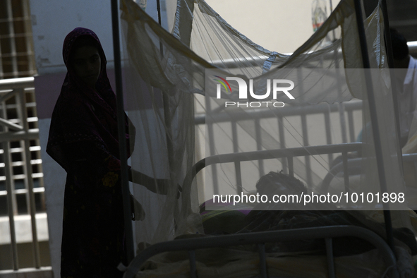 Bangladeshi dengue patients covered with mosquito nets suffer from dengue fever as they receive treatment at a Hospital in Dhaka, Bangladesh...