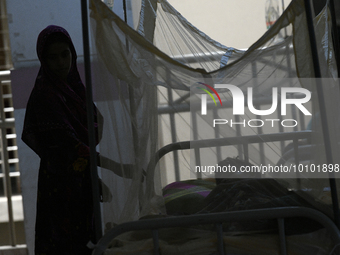 Bangladeshi dengue patients covered with mosquito nets suffer from dengue fever as they receive treatment at a Hospital in Dhaka, Bangladesh...