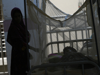 Bangladeshi dengue patients covered with mosquito nets suffer from dengue fever as they receive treatment at a Hospital in Dhaka, Bangladesh...