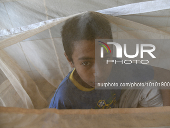 Bangladeshi child dengue patients covered with a mosquito net suffer from dengue fever as they receive treatment at a Hospital in Dhaka, Ban...